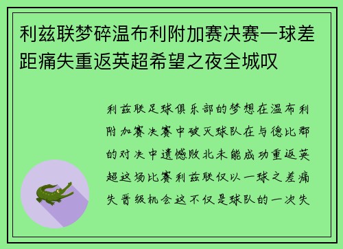 利兹联梦碎温布利附加赛决赛一球差距痛失重返英超希望之夜全城叹
